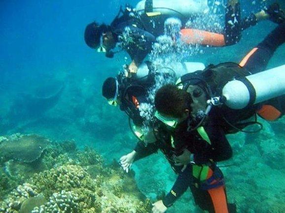 哈尔滨去年接待游客1.35亿人次，旅游总收入超1692亿
