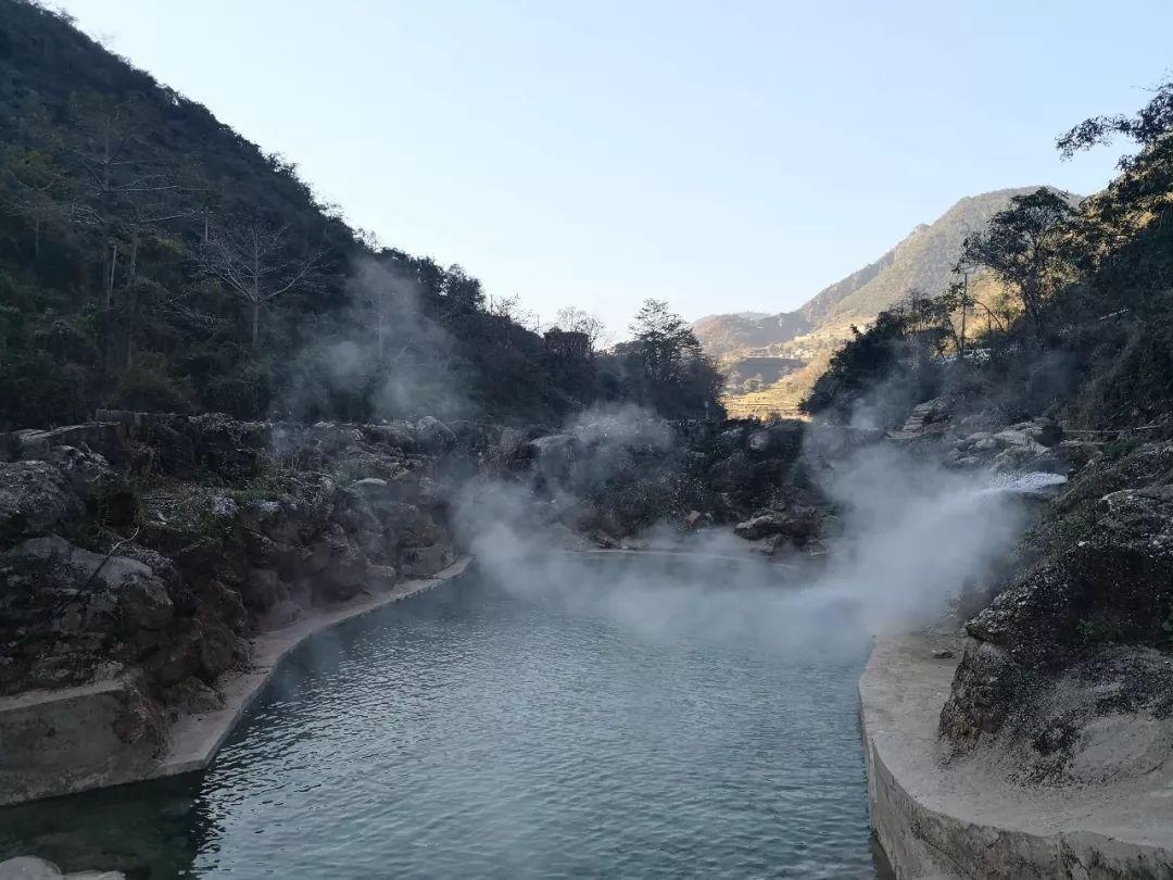 新疆特产桑椹干-新疆特产桑椹干批发